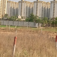  Residential Plot for Sale in 66 Feet Road, Jalandhar