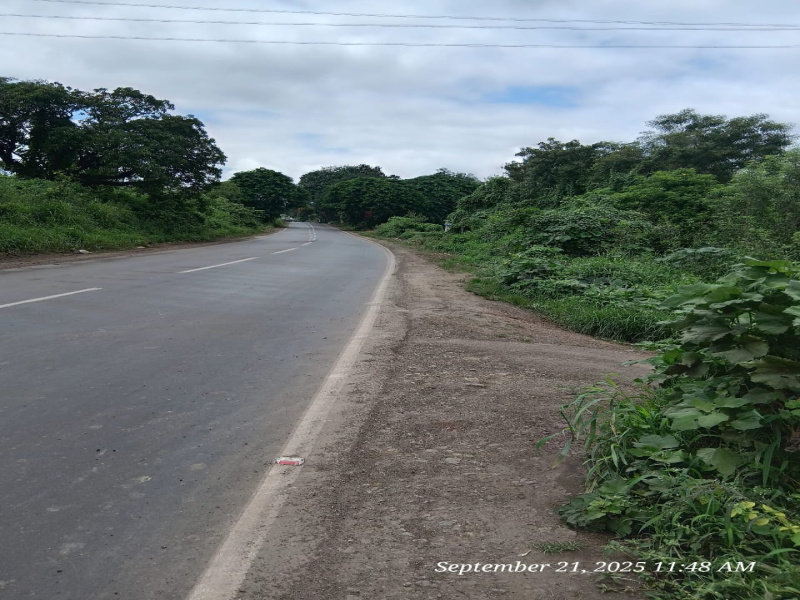  7 Guntha Residential Plot for Sale in Saswad, Pune