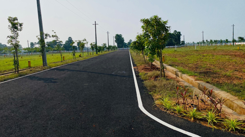  Residential Plot 183 Sq. Yards for Sale in Tagarapuvalasa, Visakhapatnam