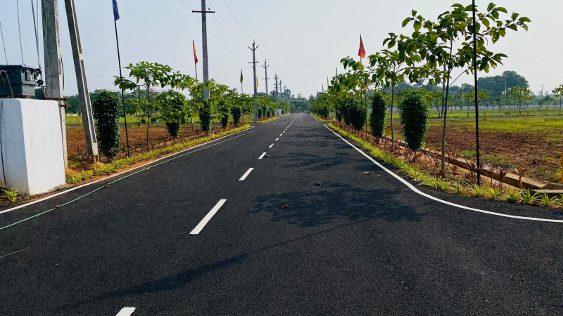  Residential Plot 183 Sq. Yards for Sale in Tagarapuvalasa, Visakhapatnam