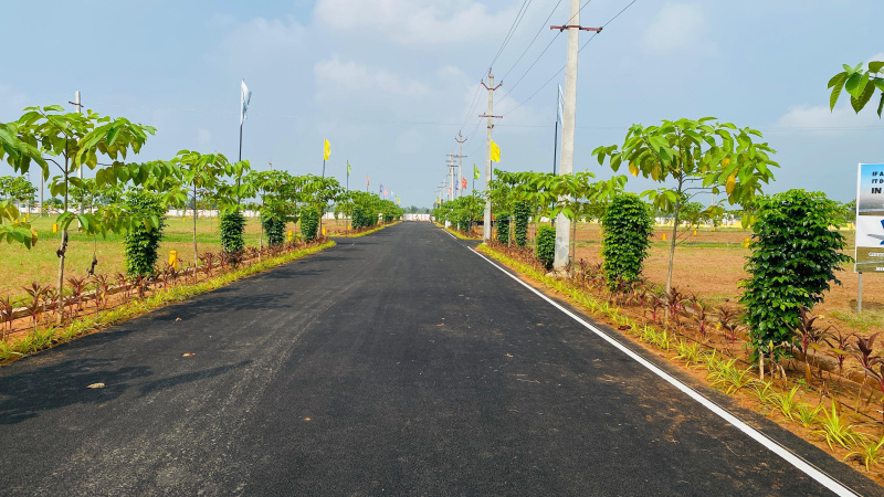  Residential Plot 183 Sq. Yards for Sale in Tagarapuvalasa, Visakhapatnam