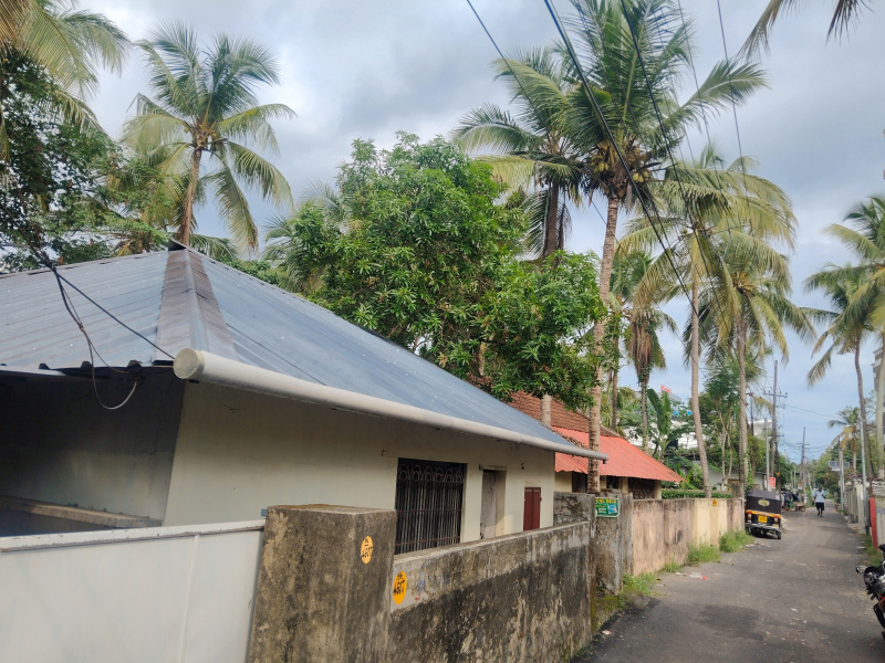 Kulathoor, Thiruvananthapuram photo 3