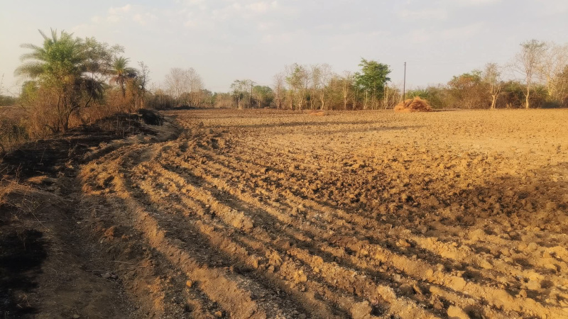  Commercial Land 11256 Sq.ft. for Sale in Ajni, Nagpur