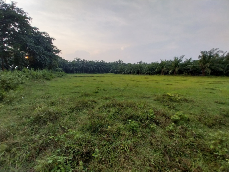  Agricultural Land 1 Acre for Sale in Jaggampeta, Rajahmundry