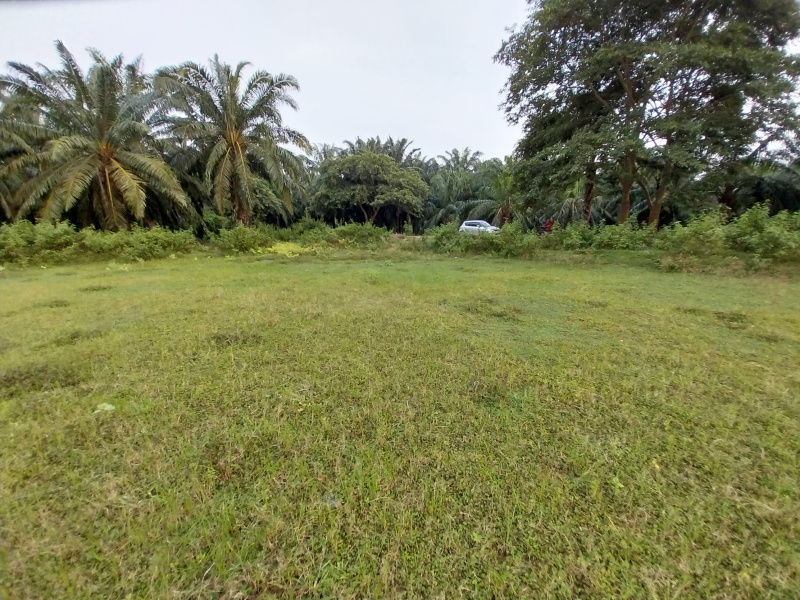  Agricultural Land 1 Acre for Sale in Jaggampeta, Rajahmundry