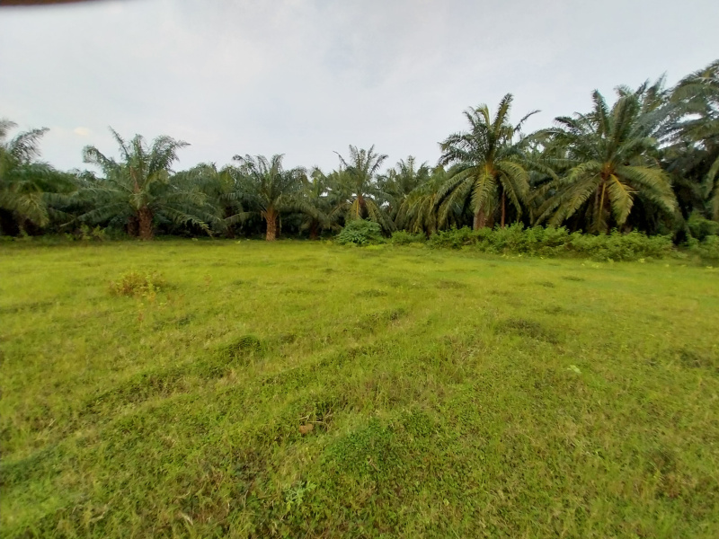  Agricultural Land 1 Acre for Sale in Jaggampeta, Rajahmundry