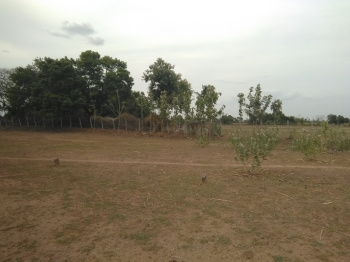  Residential Plot for Sale in Gingee, Villupuram