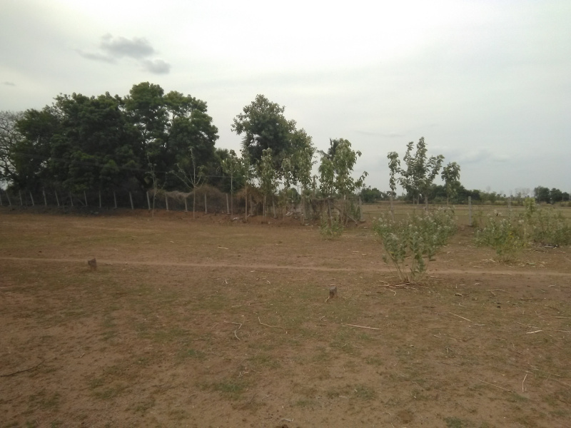 Residential Plot 2510 Sq.ft. for Sale in Gingee, Villupuram
