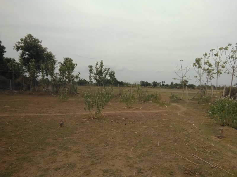  Residential Plot 2510 Sq.ft. for Sale in Gingee, Villupuram