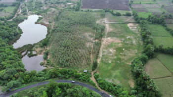  Agricultural Land for Sale in Godhra, Panchmahal