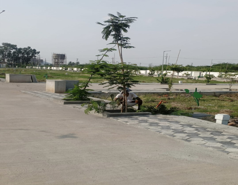  Residential Plot 1162 Sq.ft. for Sale in Belgal Road, Bellary