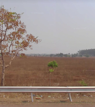  Commercial Land for Sale in Mandir Hasaud, Raipur