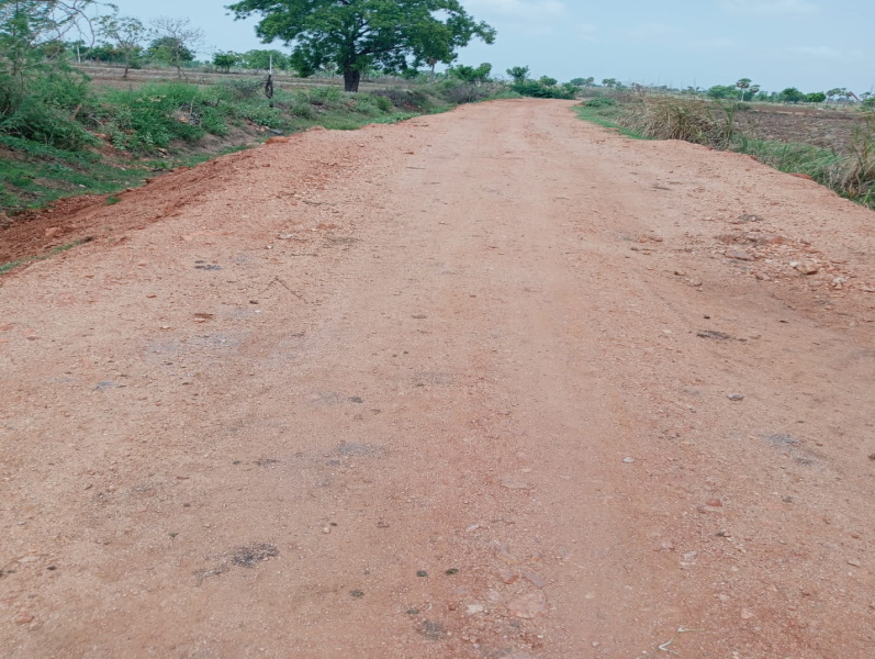  Agricultural Land 7 Acre for Sale in Miryalguda, Nalgonda