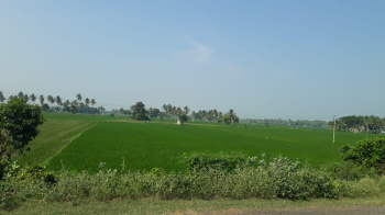  Agricultural Land for Sale in Lalgudi, Tiruchirappalli