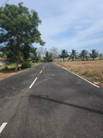  Residential Plot for Sale in Umachikulam, Madurai