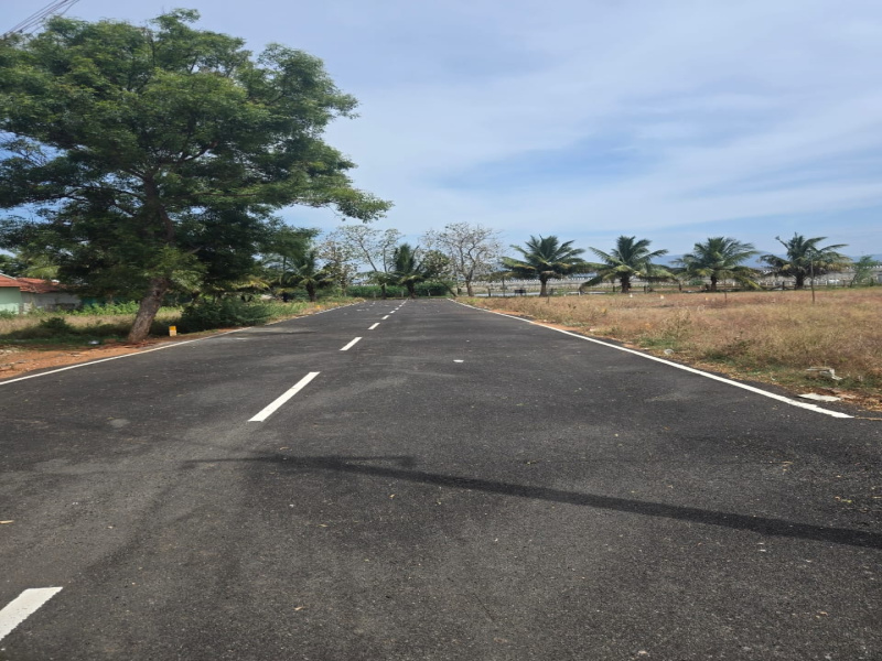  Residential Plot 1200 Sq.ft. for Sale in Umachikulam, Madurai
