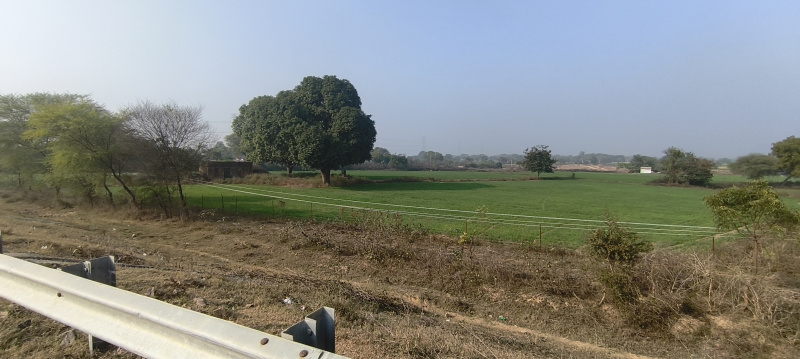  32 Bigha Agricultural/Farm Land for Sale in Mauranipur, Jhansi