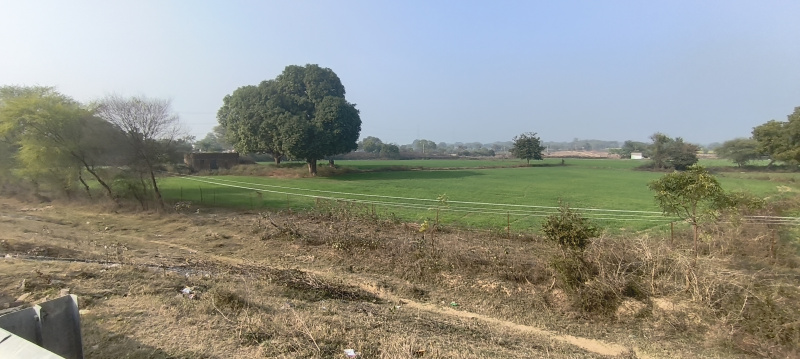  32 Bigha Agricultural/Farm Land for Sale in Mauranipur, Jhansi