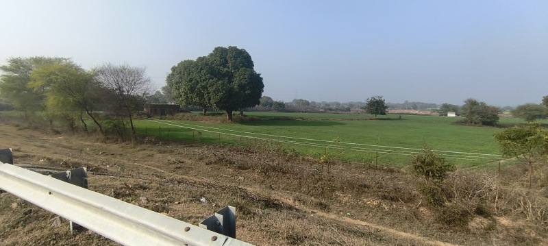  32 Bigha Agricultural/Farm Land for Sale in Mauranipur, Jhansi