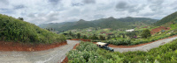  Residential Plot for Sale in Kotagiri, Ooty