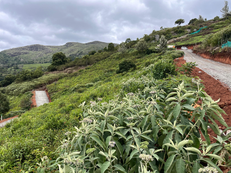  Residential Plot 21 Cent for Sale in Kotagiri, Ooty