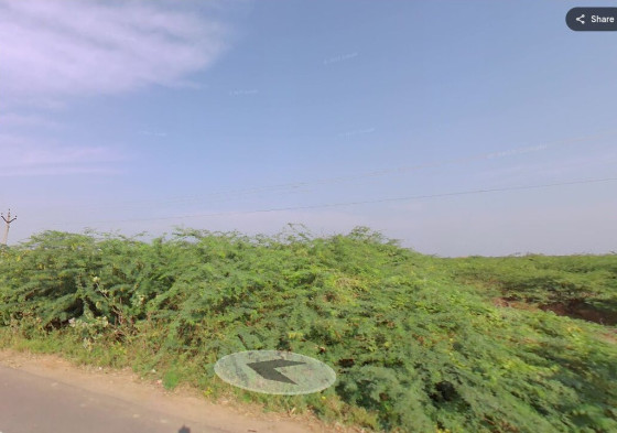  Commercial Land 1 Acre for Rent in Srivaikuntam, Thoothukudi