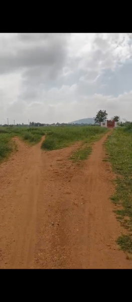  Residential Plot 5428 Sq.ft. for Sale in Chinnalapatti, Dindigul
