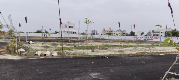  Residential Plot for Sale in Vandular, Chennai