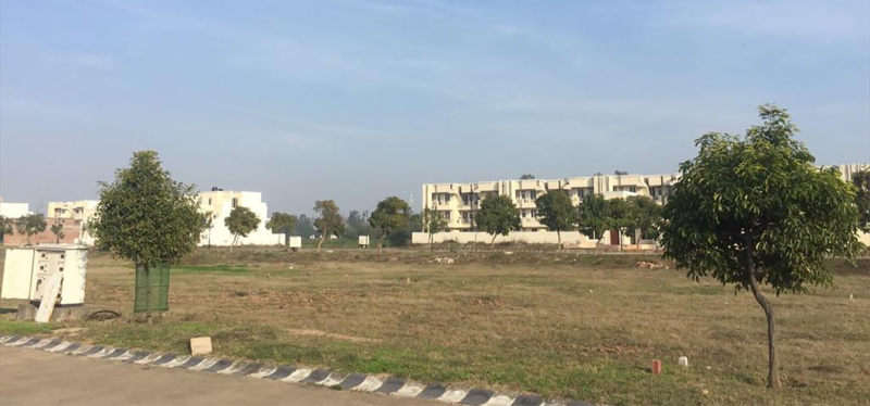  300 Sq. Yards Residential Plot for Sale in Sector 105 Mohali