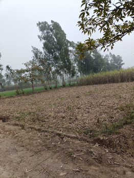  Residential Plot for Sale in Najibabad, Bijnor