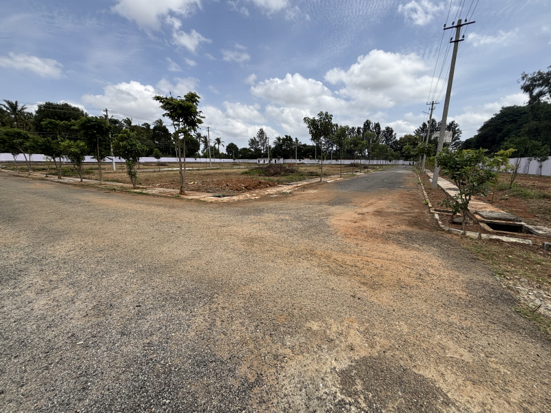  Residential Plot 1200 Sq.ft. for Sale in Anekal, Bangalore