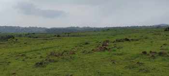 Industrial Land for Sale in Talegaon MIDC Road, Pune