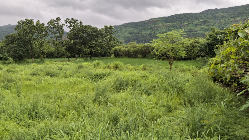  Agricultural Land 26000 Sq.ft. for Sale in Karjat, Raigad