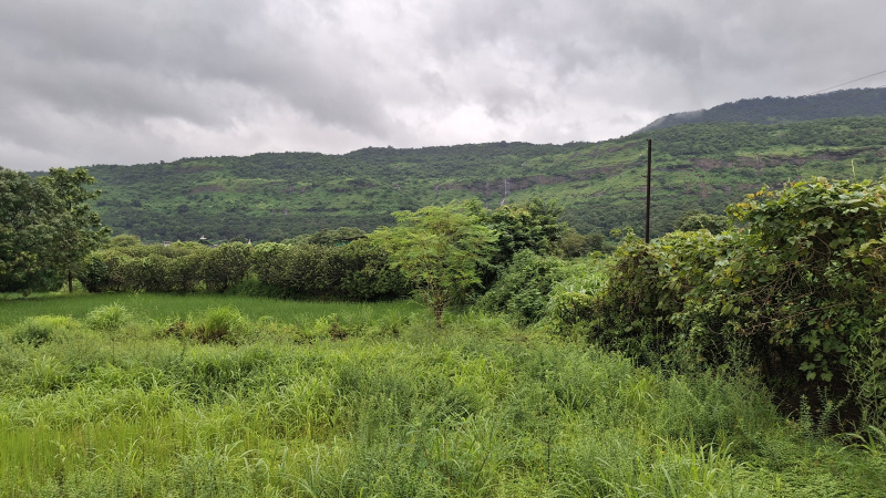  Agricultural Land 26000 Sq.ft. for Sale in Karjat, Raigad