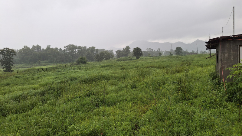  Agricultural Land 120 Guntha for Sale in Karjat, Raigad