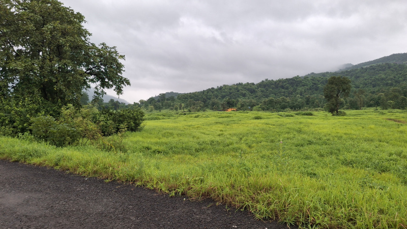  115 Guntha Agricultural/Farm Land for Sale in Karjat, Raigad
