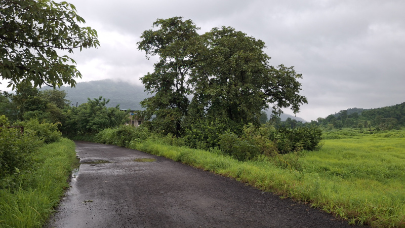  115 Guntha Agricultural/Farm Land for Sale in Karjat, Raigad