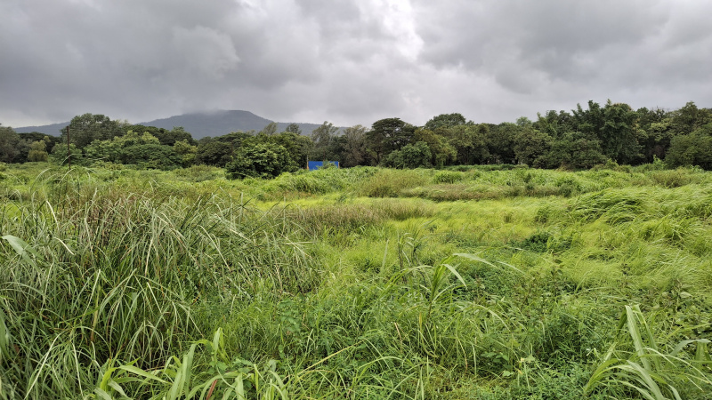  Residential Plot 125 Guntha for Sale in Karjat, Raigad