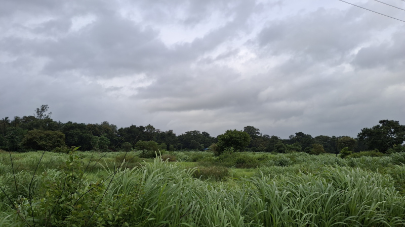  Residential Plot 125 Guntha for Sale in Karjat, Raigad