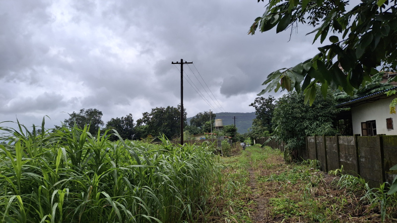  Agricultural Land 200 Guntha for Sale in Karjat, Raigad