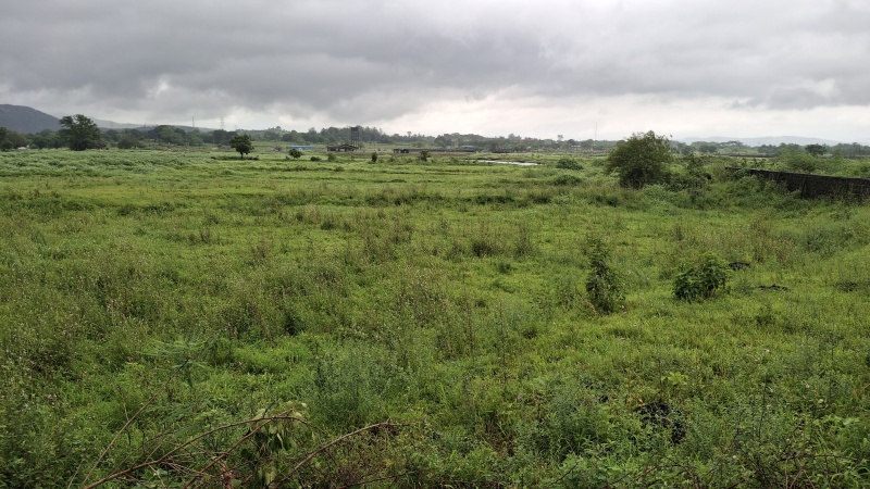  Agricultural Land 40 Guntha for Sale in Karjat, Raigad