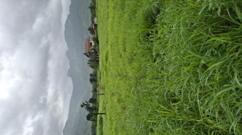  Agricultural Land for Sale in Karjat, Raigad