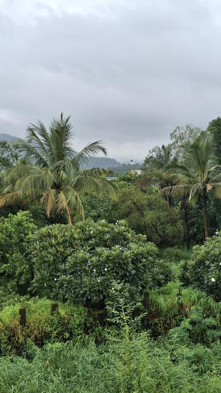 2 BHK Farm House 9 Acre for Sale in Karjat, Raigad