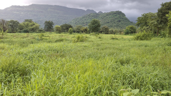  Agricultural Land for Sale in Karjat, Raigad