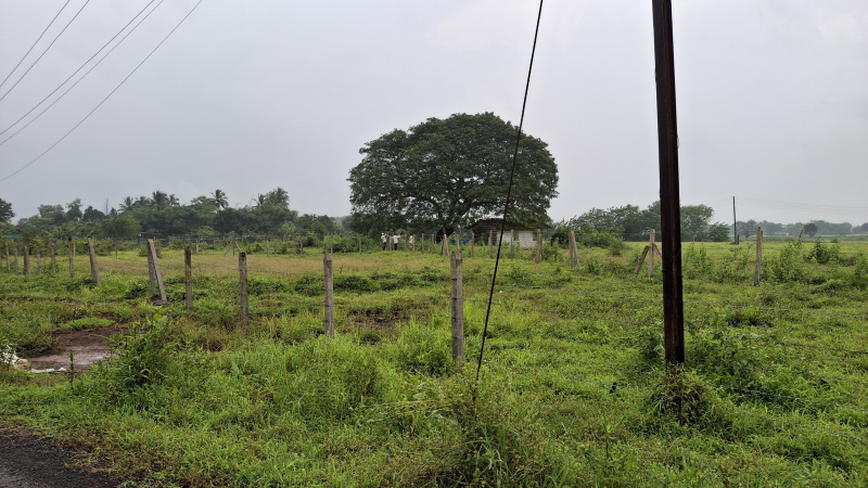 12 Guntha Agricultural/Farm Land for Sale in Karjat, Raigad