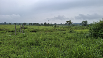  Agricultural Land for Sale in Karjat, Raigad