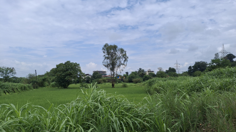  Residential Plot 25 Acre for Sale in Karjat, Mumbai