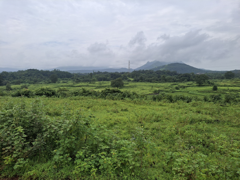  Agricultural Land 55 Sq.ft. for Sale in Karjat, Raigad