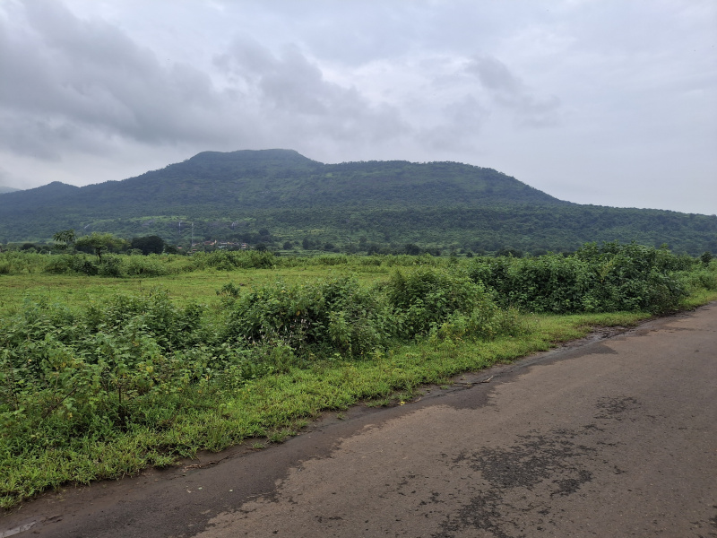  Agricultural Land 55 Sq.ft. for Sale in Karjat, Raigad