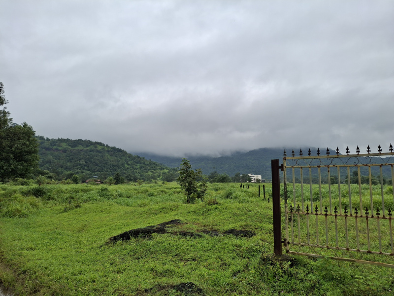  Agricultural Land 94 Guntha for Sale in Karjat, Raigad